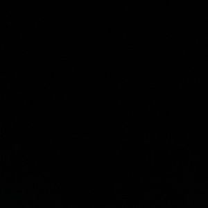 Meet your Posher, Mia